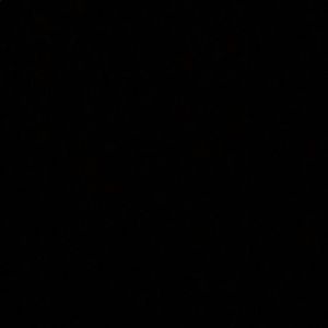 Meet your Posher, Armando